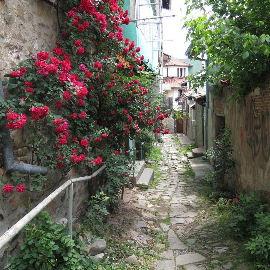 Rooster Hostel Veliko Tarnovo Eksteriør billede